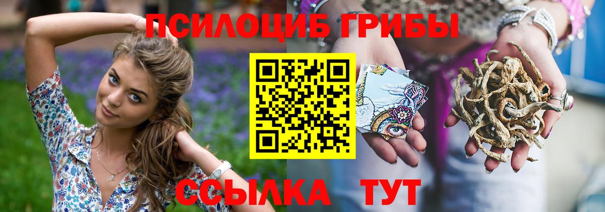 Псилоцибиновые грибы Psilocybine cubensis Лысьва