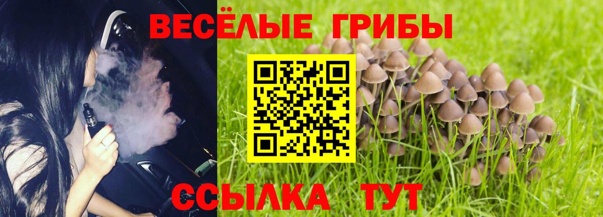 Лысьва  Псилоцибиновые грибы прущие грибы  Вход с VPN 